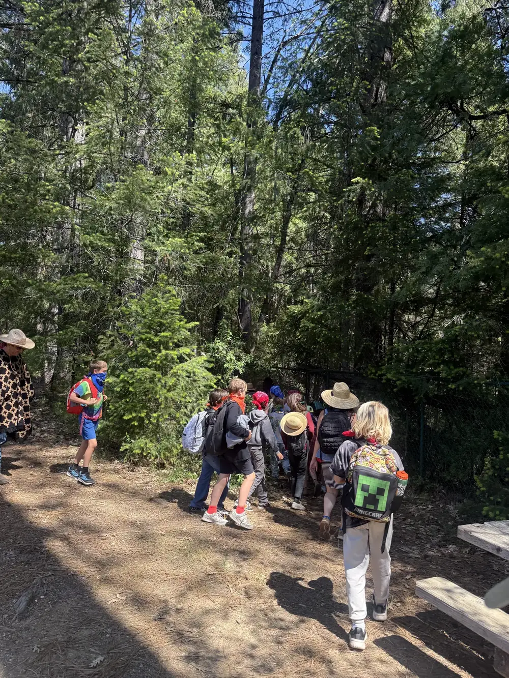 Hike in